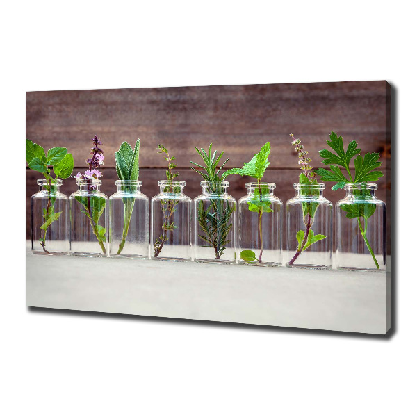 Canvas wall art Plants in jars