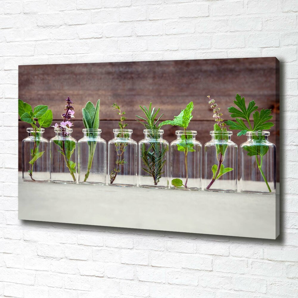 Canvas wall art Plants in jars