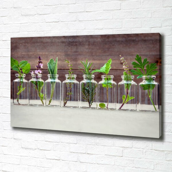 Canvas wall art Plants in jars