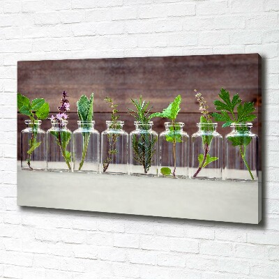 Canvas wall art Plants in jars