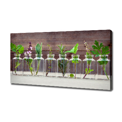 Canvas wall art Plants in jars