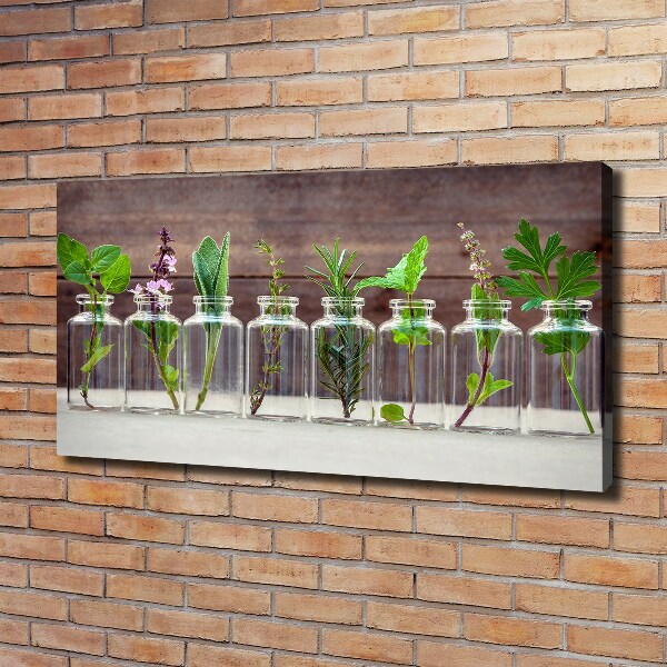 Canvas wall art Plants in jars