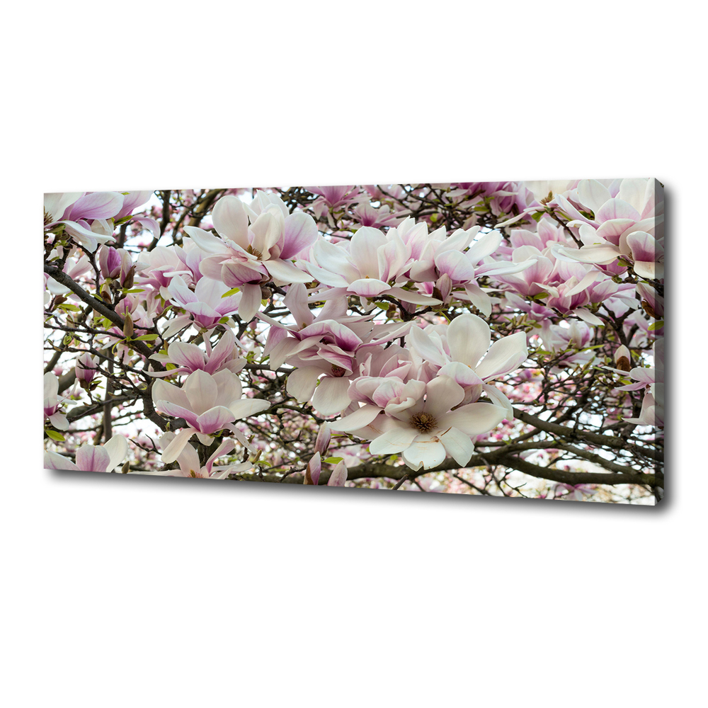 Canvas wall art Magnolia flowers