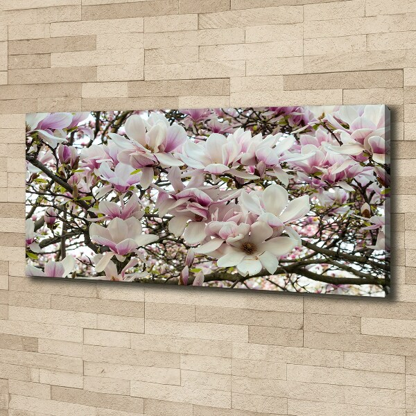 Canvas wall art Magnolia flowers