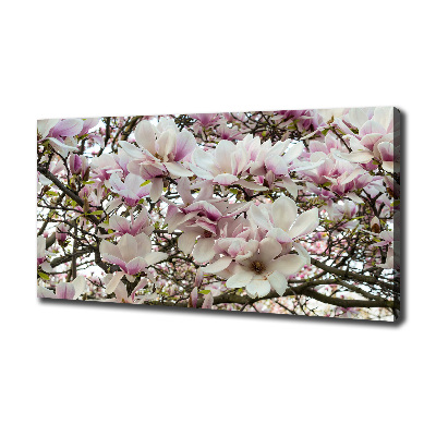 Canvas wall art Magnolia flowers