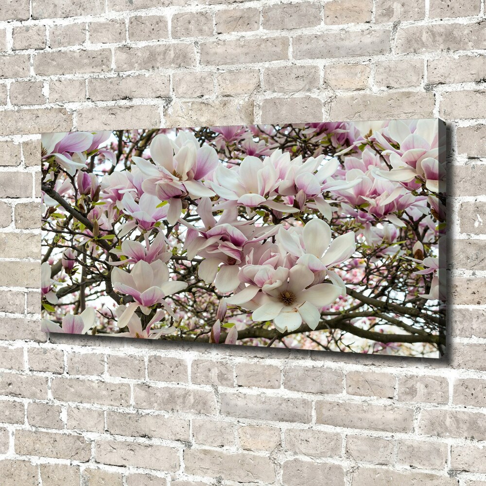 Canvas wall art Magnolia flowers