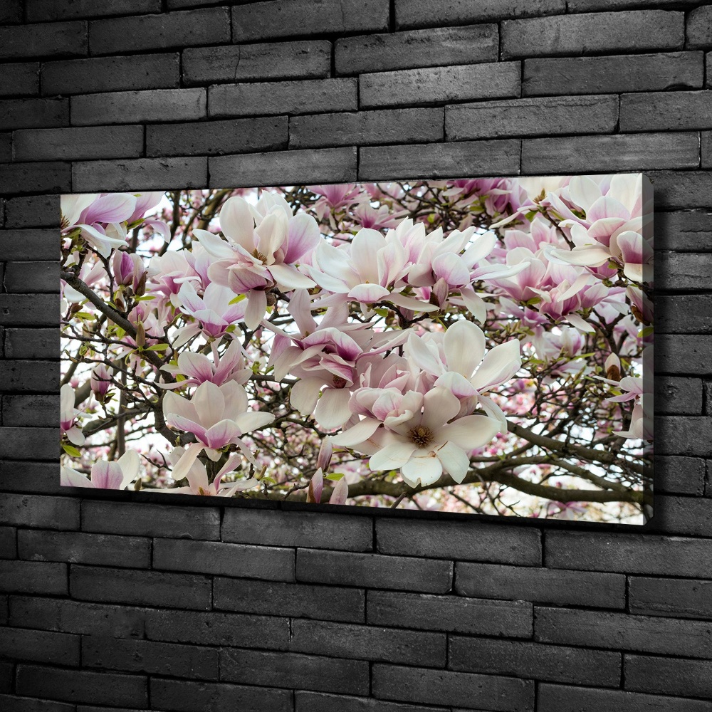 Canvas wall art Magnolia flowers