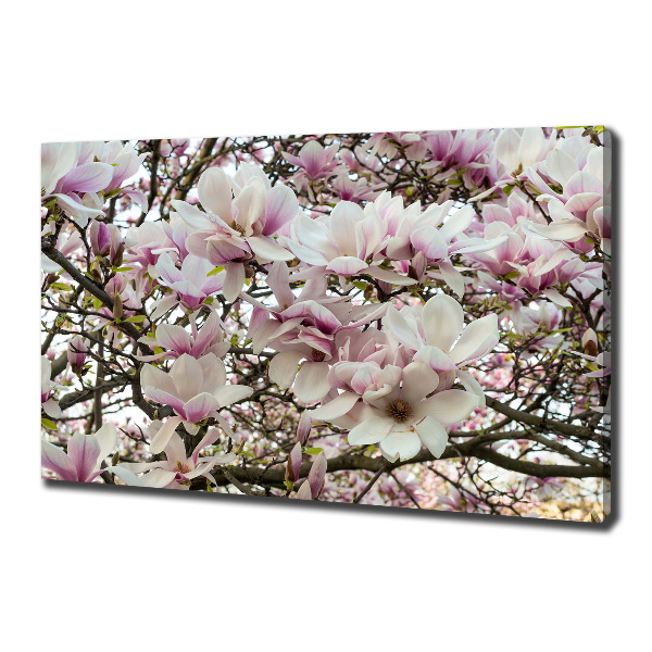 Canvas wall art Magnolia flowers