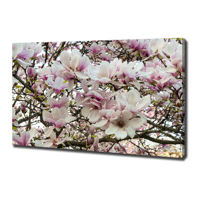 Canvas wall art Magnolia flowers