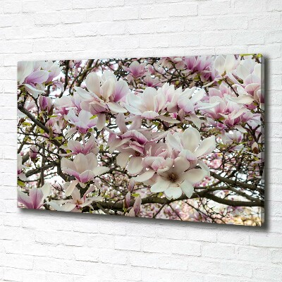 Canvas wall art Magnolia flowers