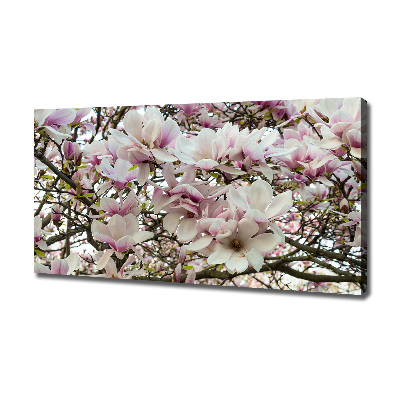 Canvas wall art Magnolia flowers