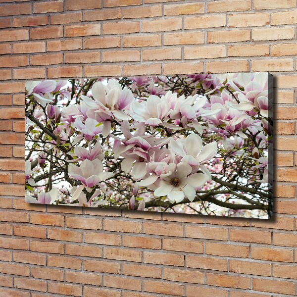 Canvas wall art Magnolia flowers