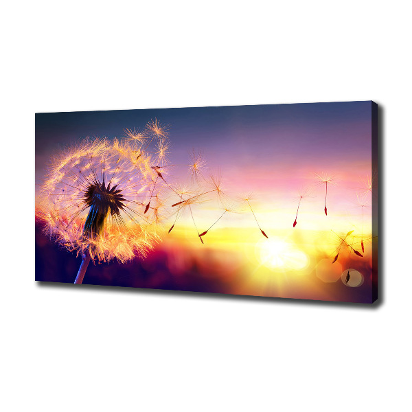 Canvas wall art Dandelion