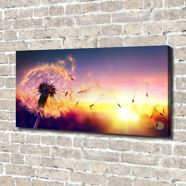 Canvas wall art Dandelion