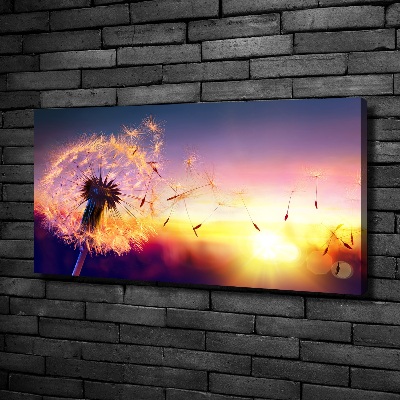 Canvas wall art Dandelion