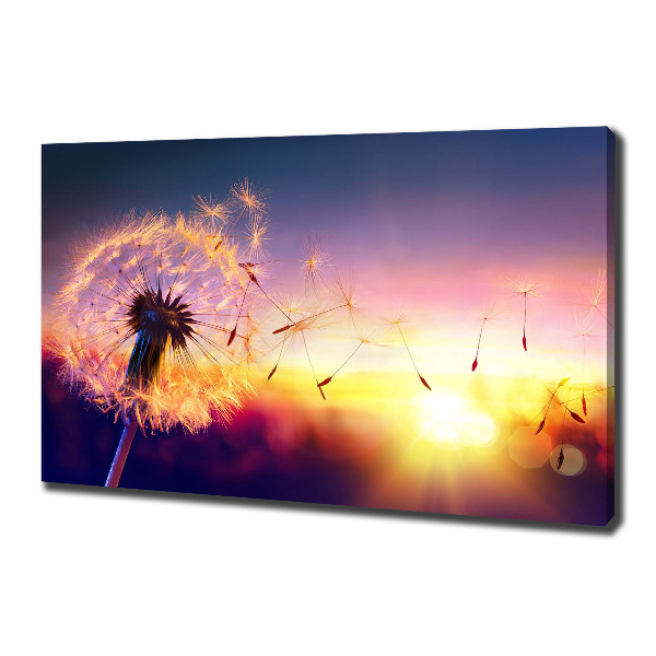 Canvas wall art Dandelion