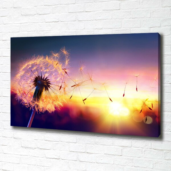 Canvas wall art Dandelion