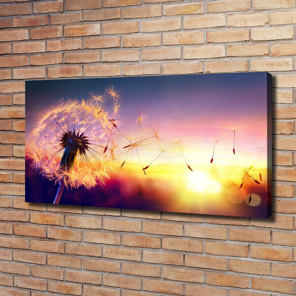 Canvas wall art Dandelion