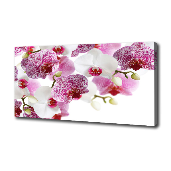 Canvas wall art Orchid