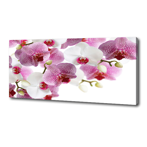 Canvas wall art Orchid