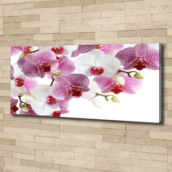 Canvas wall art Orchid