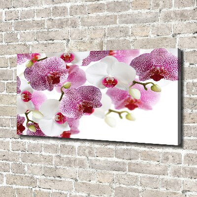 Canvas wall art Orchid