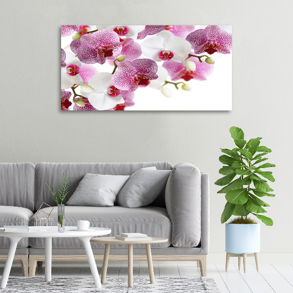 Canvas wall art Orchid