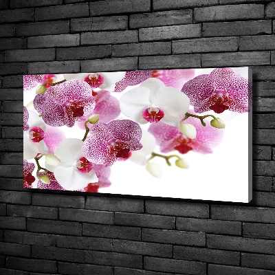 Canvas wall art Orchid