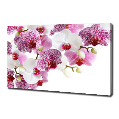 Canvas wall art Orchid