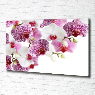 Canvas wall art Orchid