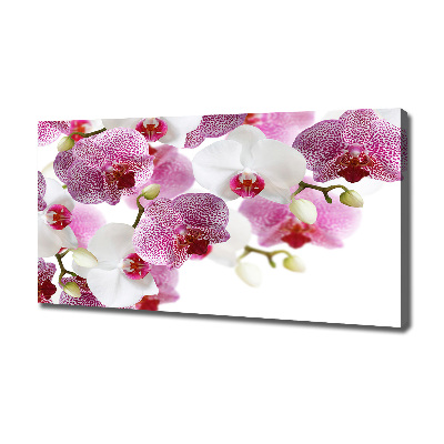 Canvas wall art Orchid