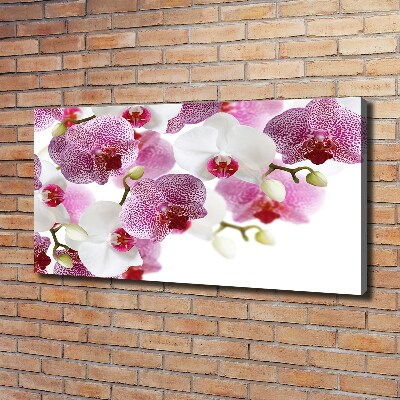 Canvas wall art Orchid