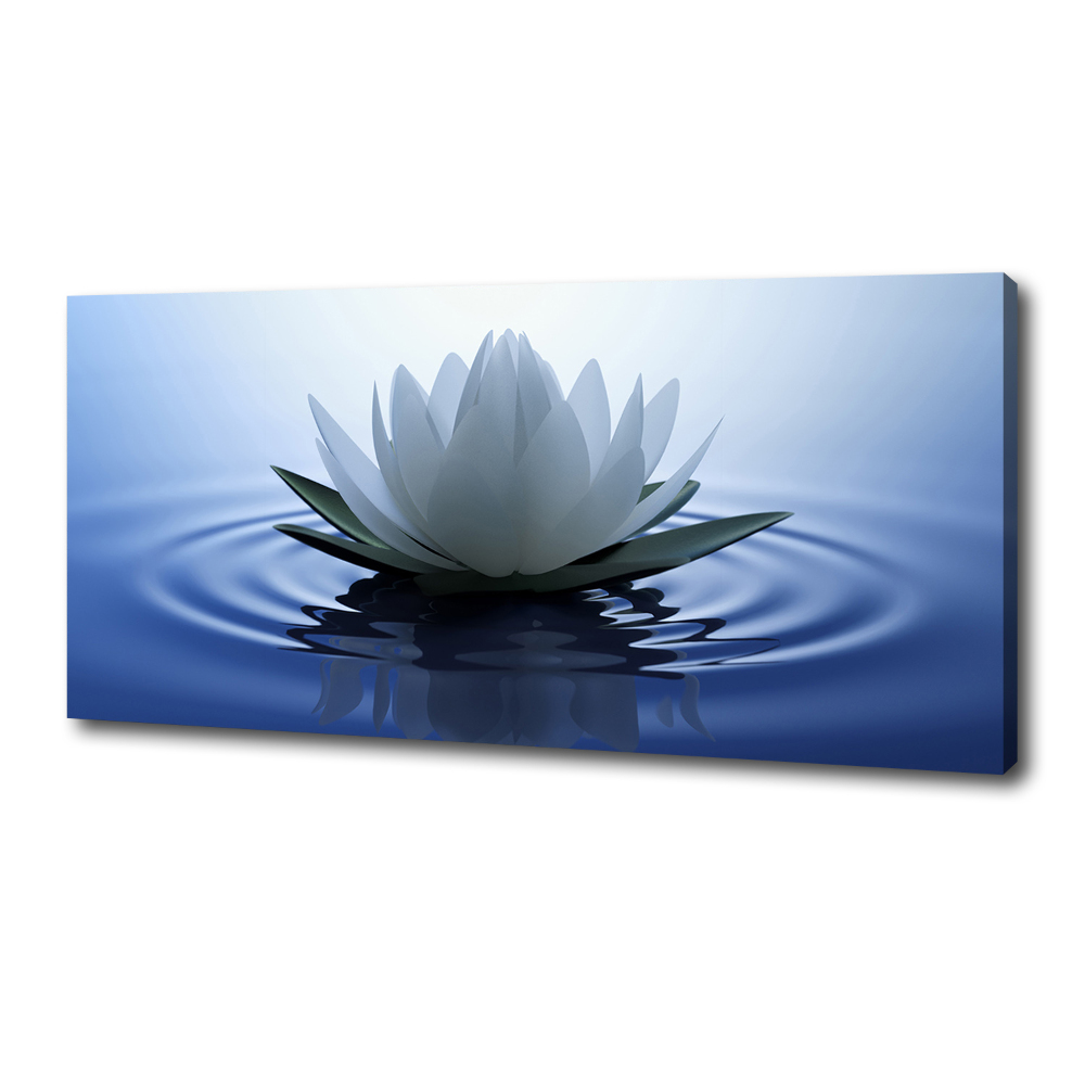 Canvas wall art water lily