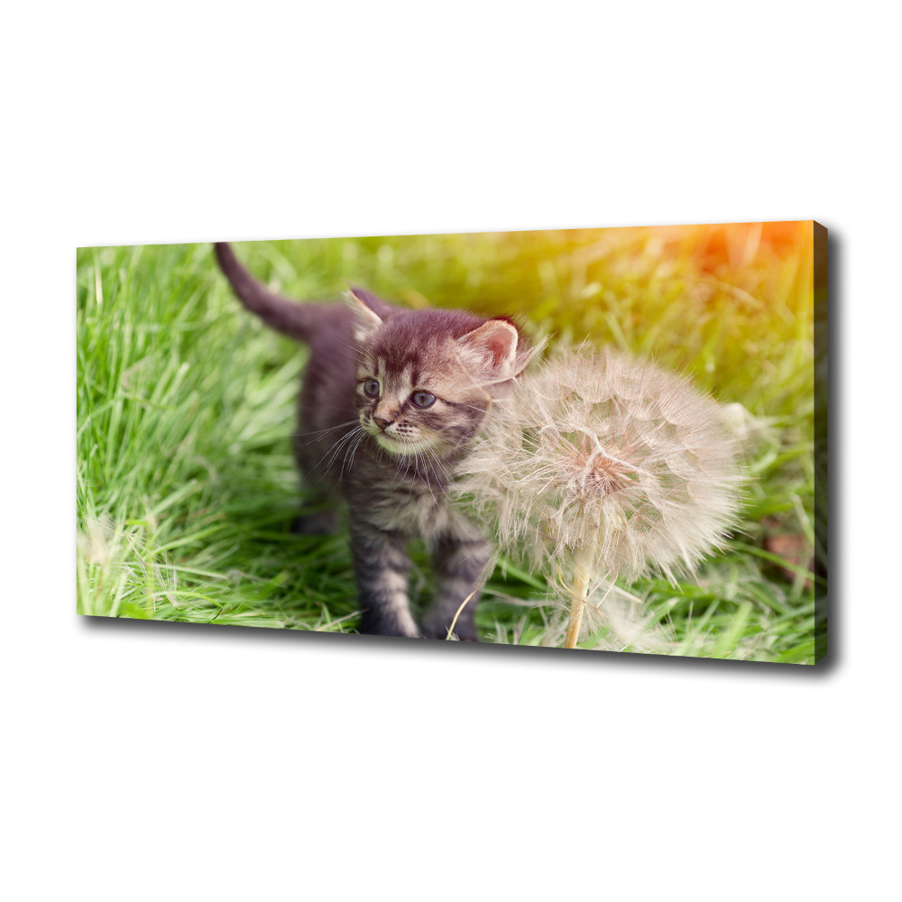 Wall art canvas large Kitty with dandelion