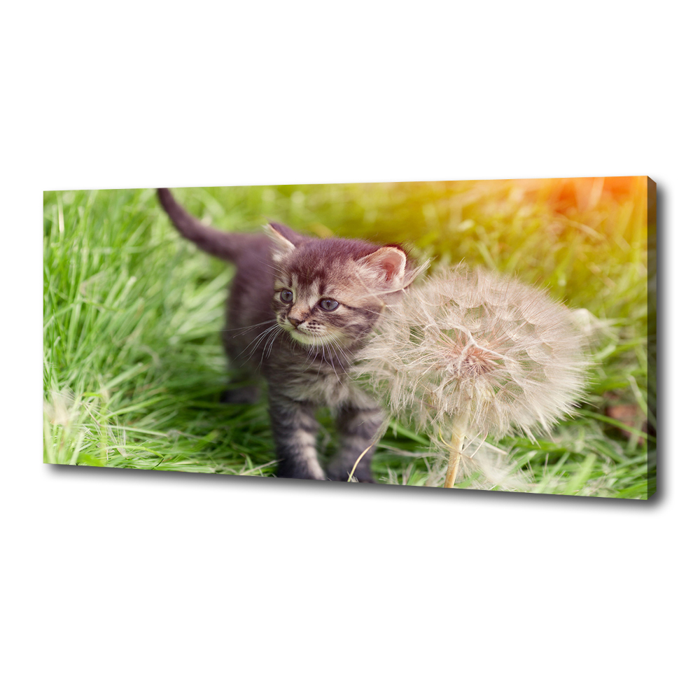 Wall art canvas large Kitty with dandelion