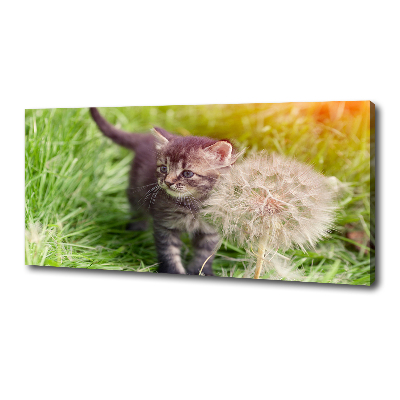 Wall art canvas large Kitty with dandelion