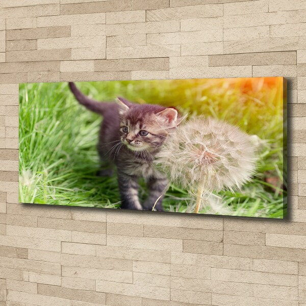 Wall art canvas large Kitty with dandelion