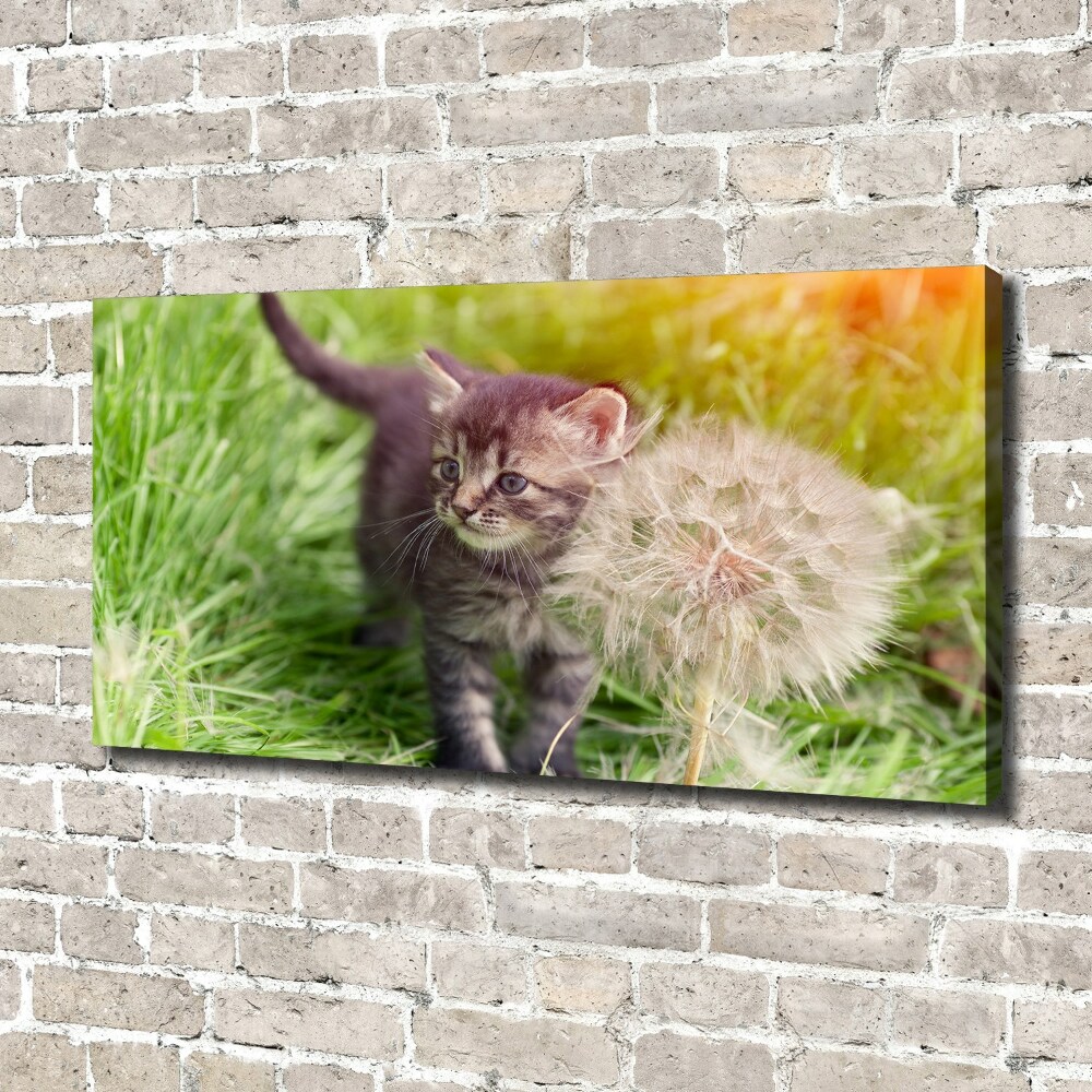 Wall art canvas large Kitty with dandelion