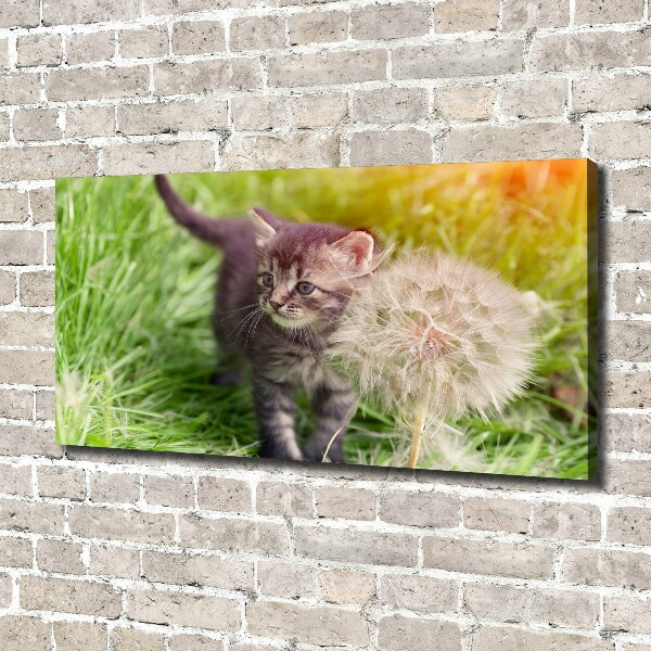 Wall art canvas large Kitty with dandelion