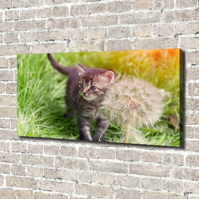 Wall art canvas large Kitty with dandelion