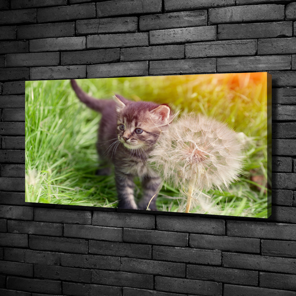 Wall art canvas large Kitty with dandelion