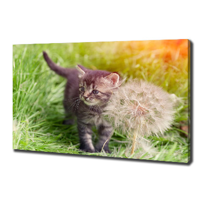 Wall art canvas large Kitty with dandelion