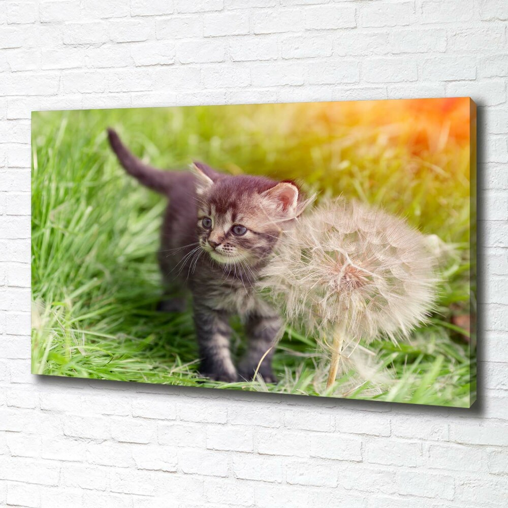 Wall art canvas large Kitty with dandelion