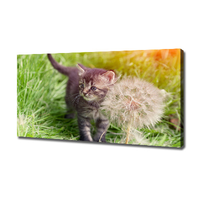 Wall art canvas large Kitty with dandelion