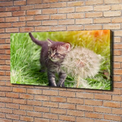 Wall art canvas large Kitty with dandelion