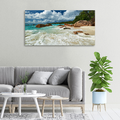 Canvas wall art Seychelles beach