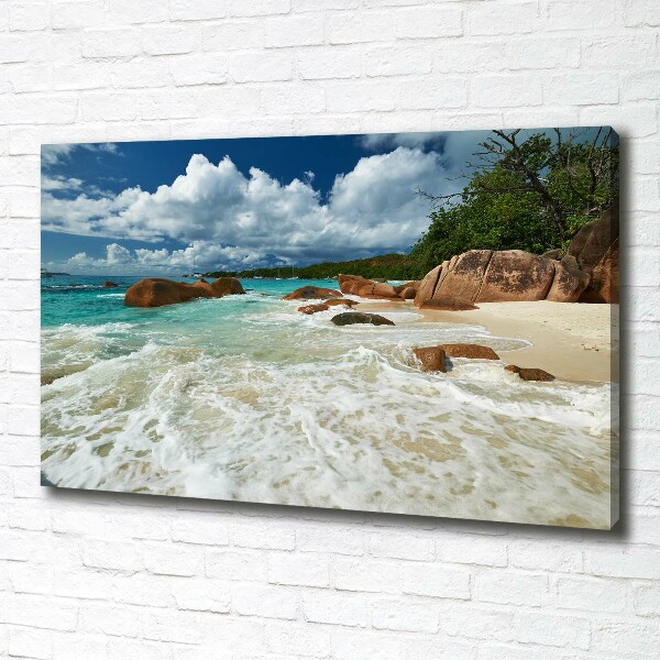 Canvas wall art Seychelles beach