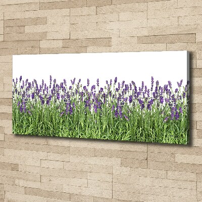 Canvas wall art Lavender flowers