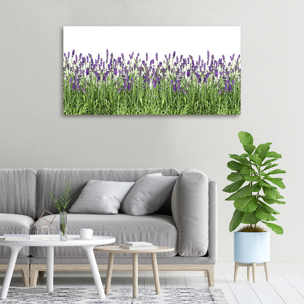 Canvas wall art Lavender flowers