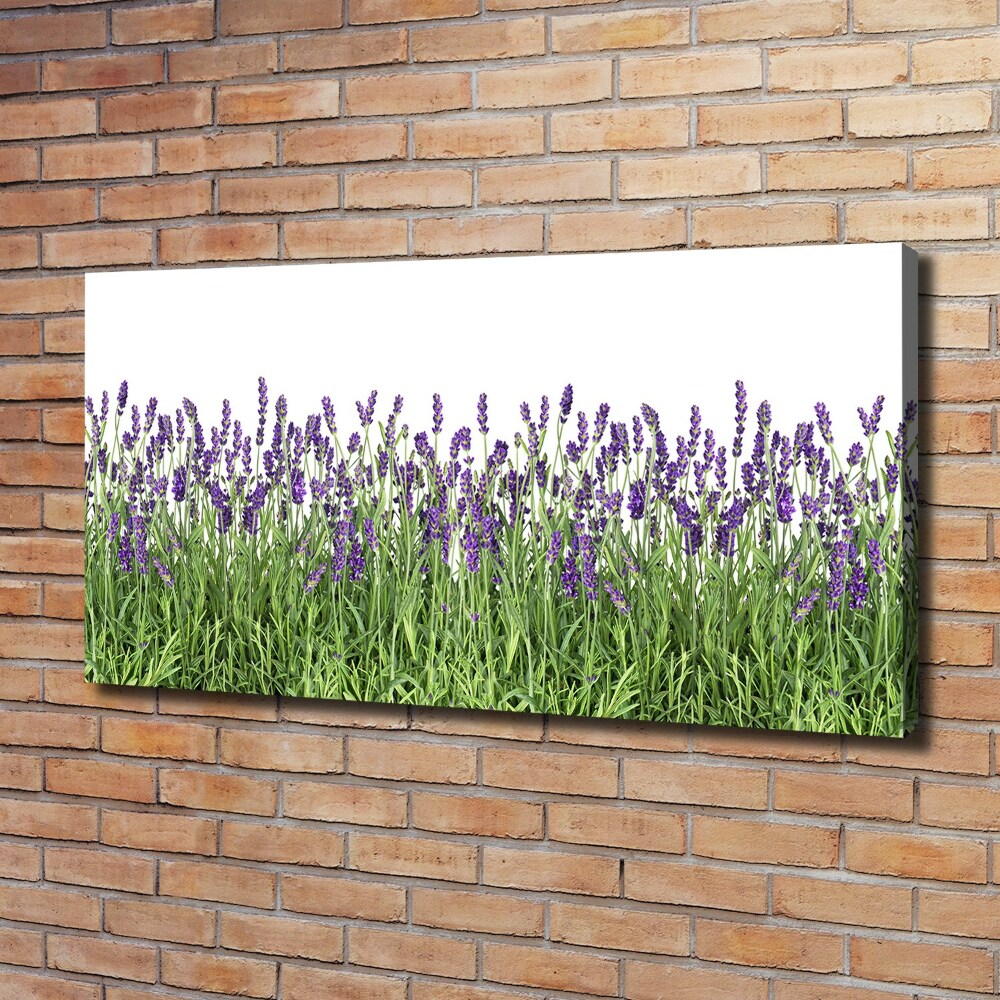 Canvas wall art Lavender flowers